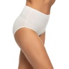 Felina Cotton Modal Brief Underwear 5-Pack(Sparrow Vines)