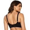 Felina Paramour Amaranth Cushioned Comfort Unlined Minimizer Bra 2-Pack(Black)